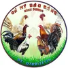 Gà Peru gà Mỹ Bàu bàng