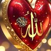 rozanaibrahim02