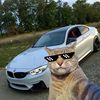 kuzzy398