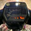 virzha290