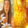 mqy.q