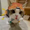 lilnotpukky