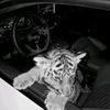 tarzana_33