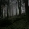 twilight.kall