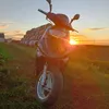 11_4_0porowiec