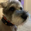 maseyd_27