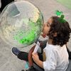 reema_fkr