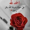 user43173874410881