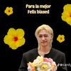 felix_fan538