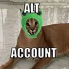 floppacat101altaccount