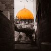 mohamed.islam.14.7