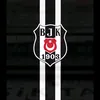 metinbaba4374