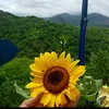 quen_134