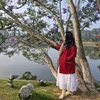 lourihuynh