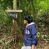 cipung250