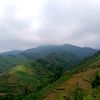 jamsutkw