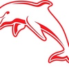 dolphinsfannrl