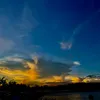 hoa_dai.8686