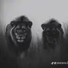 hyperfrankyyt1