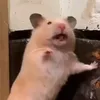 uyn.nek4