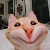 hiephiephiep