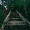 orng_ireng