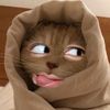 zzsyaaa_