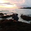 jmjose987
