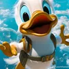egleflash1234567895