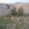 userznz2m5qjb7fhgr
