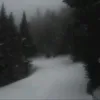 knight_268