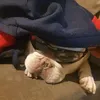 masonfromthepool