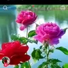user541076945745
