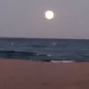 www.tiktok.comchimo1
