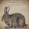 esquilax51