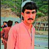 saghar841