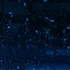 sasa._212