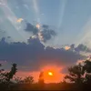 loris_583
