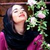 hiba.0588