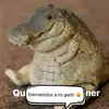 rdrgtlj