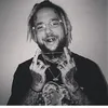 drsimp
