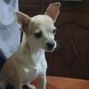arturo19_176