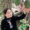 tahuyenhuyen_huyen
