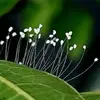 tien_0608_