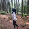 lianiput01