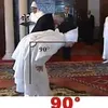 sidra_dz213