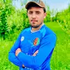 zahinashna313