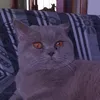 h3ll0._.kitty7