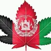 hamad.khan014