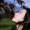 imsel_843